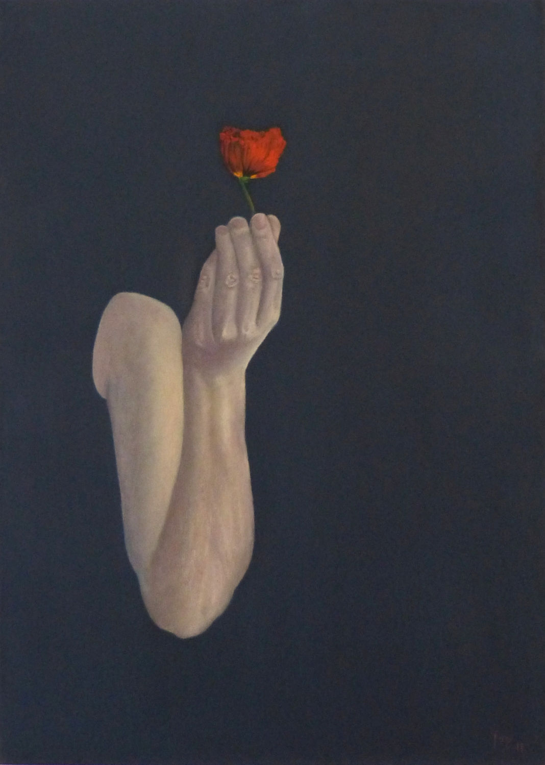 Gemälde "Flüchtige Anmut" von Fernanda Steiner-Pulimeno: Ein abgewinkelter, hell beleuchteter Arm, der aus der Dunkelheit ragt und zart eine leuchtend rote oder orangefarbene Mohnblume vor einem indigoblauen Hintergrund hält.